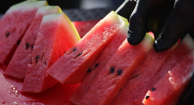 „Mint a gumicsizmát” – Elárulták a magyar termesztők, hogyan kell felismerni a tökéletes görögdinnyét
