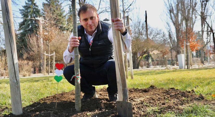 A kertészeti maffia vádalkut kérő vezetőjének elmondása szerint Őrsit nem volt nehéz megkenni