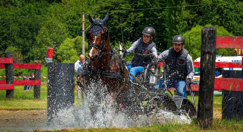 Háromszékre figyel a fogathajtó világ: megtelik lovakkal és bajnokokkal Oltszem