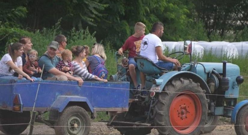 Tehenek, lovak, traktorok: igazi falusi élmények nyílnak a gyerekek előtt Györkönyben