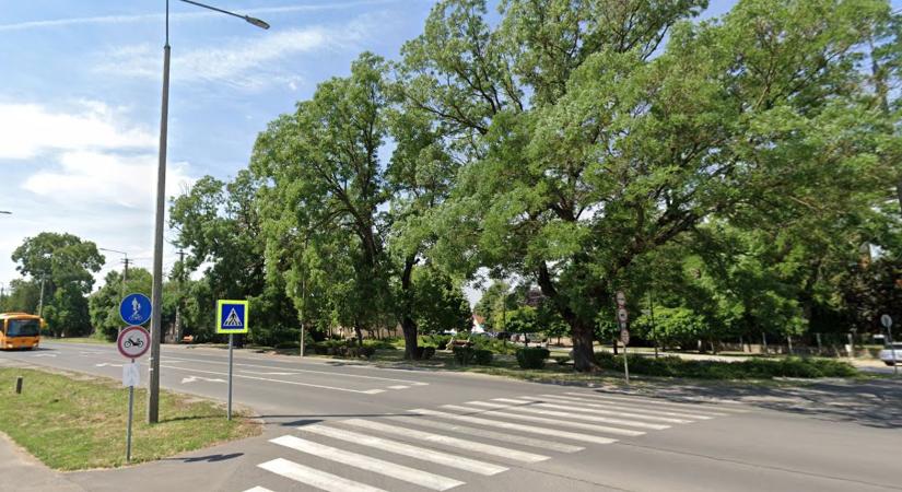 Okoszebrát lehet nyerni Berettyóújfalunak