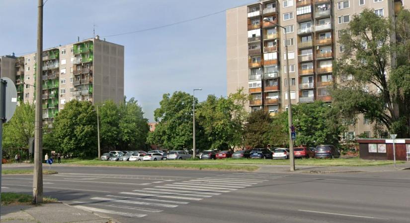 Okoszebrát lehet nyerni Miskolcnak