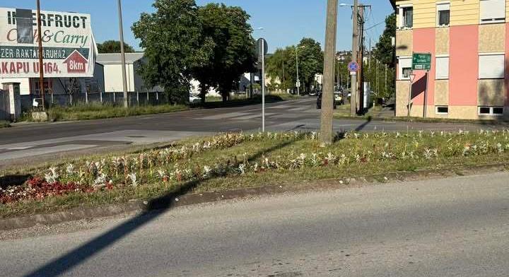 Kettőskereszt vagy valódi problémák? Egyre élesebb vita bontakozik ki Egerben