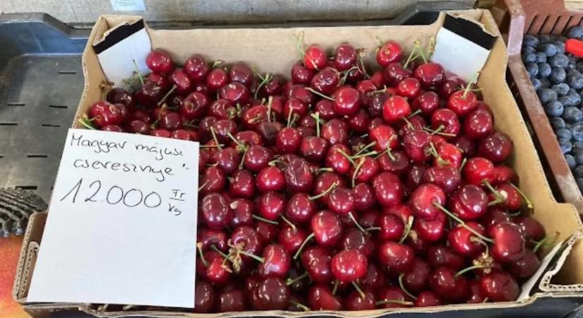 Méregdrága cseresznyeár borzolja a kedélyeket: tényleg 12 ezer lesz kilója? Utánajártunk