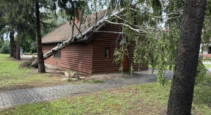 Fákat tört derékba a vihar a Zala megyei Alsópáhokon