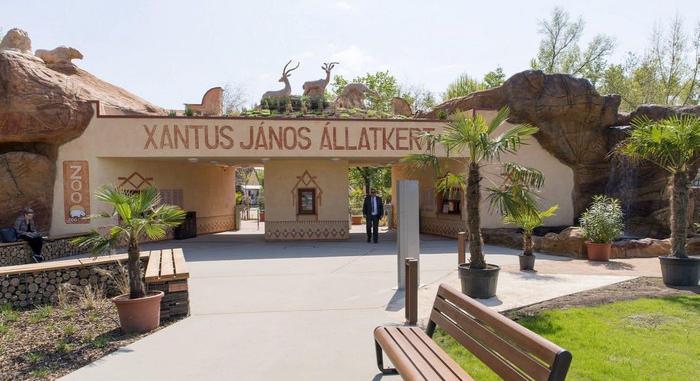 Struccok a Xantus János Állatkertben