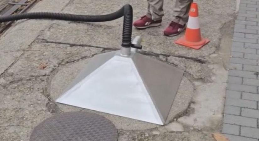 Magánterületen is szükség lehet a csótányirtásra