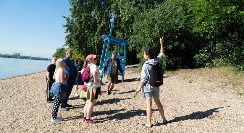 Rajtra kész a Római-parti Plázs: civil összefogással valósult meg a föveny-előkészítése