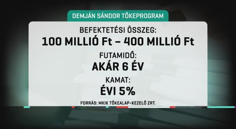 Hiába ítélték meg nekik a támogatást, sok kisvállalkozó egy forintot sem kapott a Demján Sándor Tőkeprogram150 milliárdos keretéből