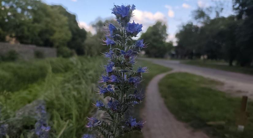 Fordulat jön az időjárásban Hevesben – de nem mindenki örül majd neki