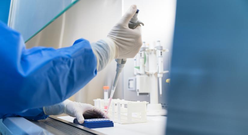 Elképesztő kincs bújt meg a magyar föld alatt: nem hitték el, mikor kiásták