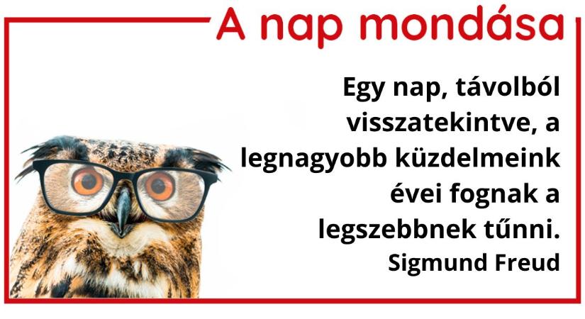 A nap mondása