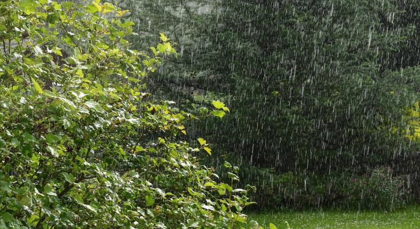 A talaj egy hatalmas szivacs, a csapadékot hatékonyabban is lehet hasznosítani