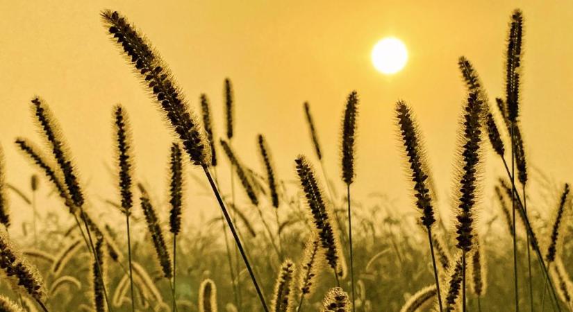 Hétvégi időjárás: Fokozódó kánikula és zavartalan napsütés