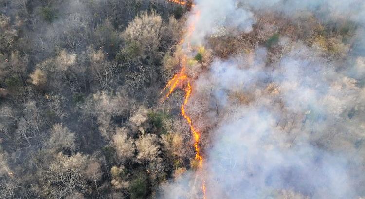 Brutális El Niño közeleg: a mezőgazdaságot is érintheti