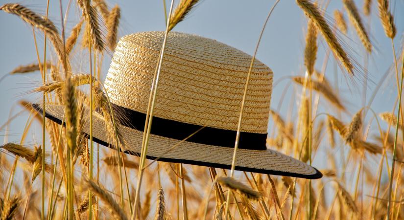 27–32 fokos meleg és sok napsütés várható