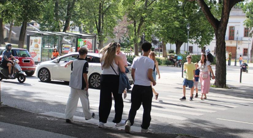 Eger is okoszebrával gazdagodhat, ehhez azonban a helyiekre is szükség lehet