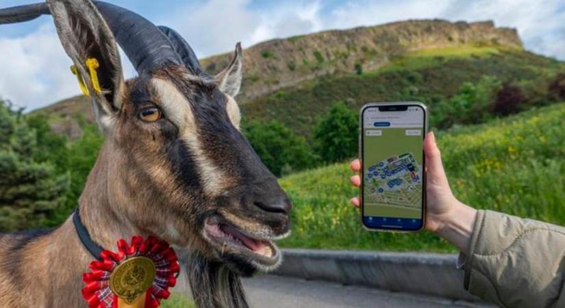 Royal Highland Show 2026 – Skócia legnagyobb mezőgazdasági vására