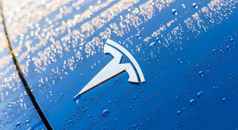 Parkolás helyett a medencébe hajtott – életmentők mentették ki a Tesla sofőrjét