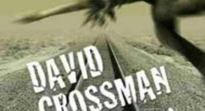 David Grossman: A villámkölyök
