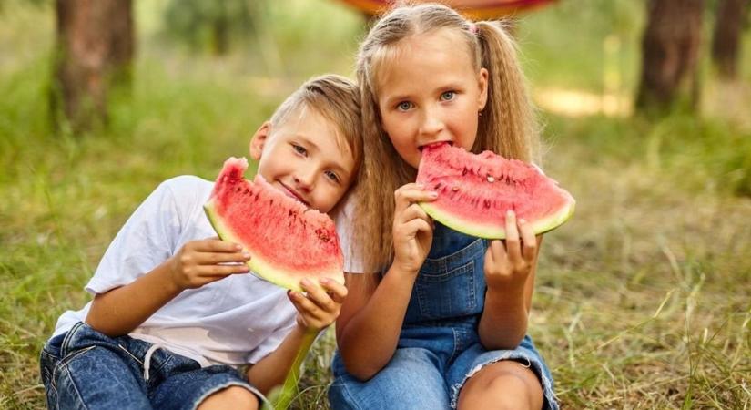 Itt a szezon: kiderült, mikor érkeznek az első hazai görögdinnyék a Lidl polcaira