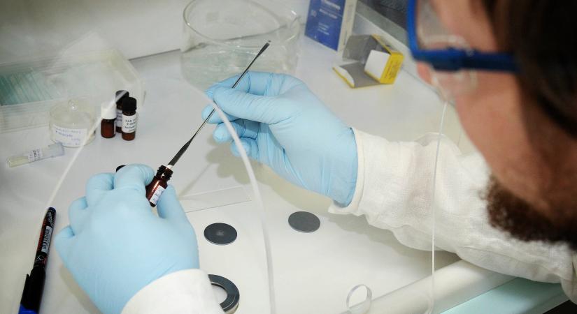 Sötét jövő előtt állnak a magyar betegek – drasztikus figyelmeztetést adtak a szakemberek