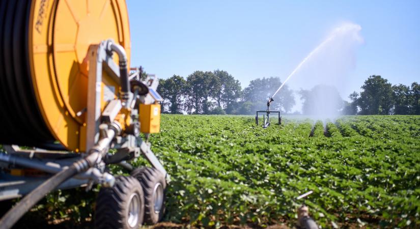 Civil szervezetek szerint a Tisza nem védte meg a GMO-mentes magyar álláspontot Európai Parlamentben