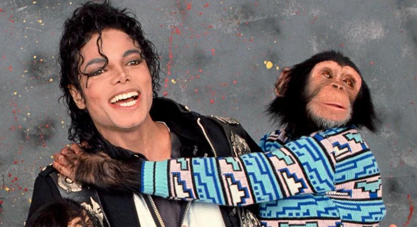 Bon Jovival bulizott, most egy floridai menhelyen éli a világát Michael Jackson csimpánza