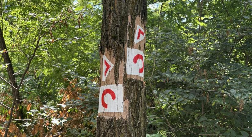 Három kilométeres ösvényen gyönyörködhetünk az erdőben Téglásnál