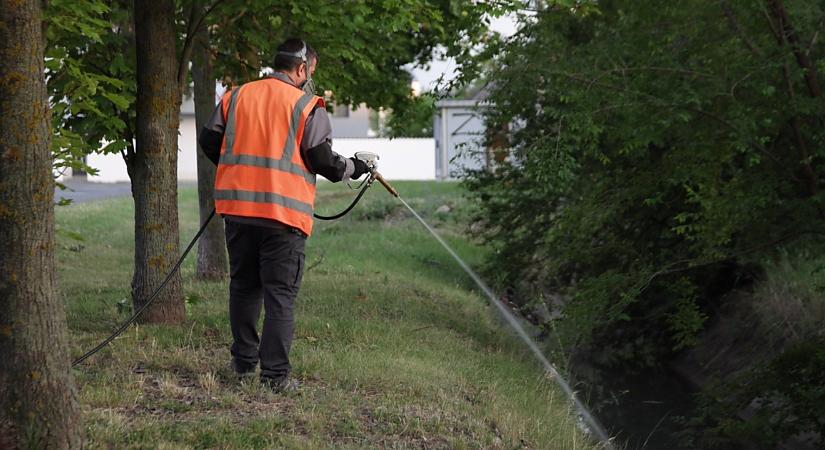 Környezetbarát biológiai szúnyoglárva-gyérítés kezdődött Debrecenben