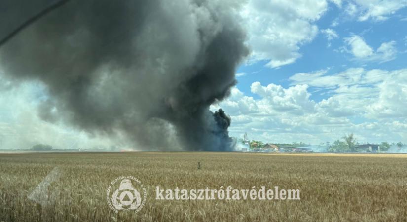 Tíz hektár búza égett le Kengyel külterületén