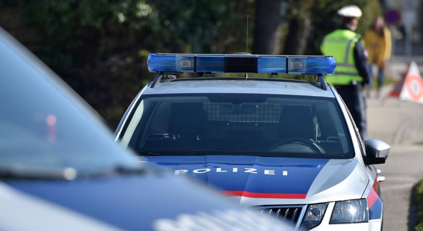 Tiniket vertek meg kegyetlenül, keresi az osztrák rendőrség őket