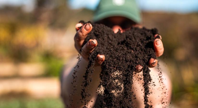 Elfelejthetjük a szántást? Elképesztő carbon farming megoldások fiatal újítóktól
