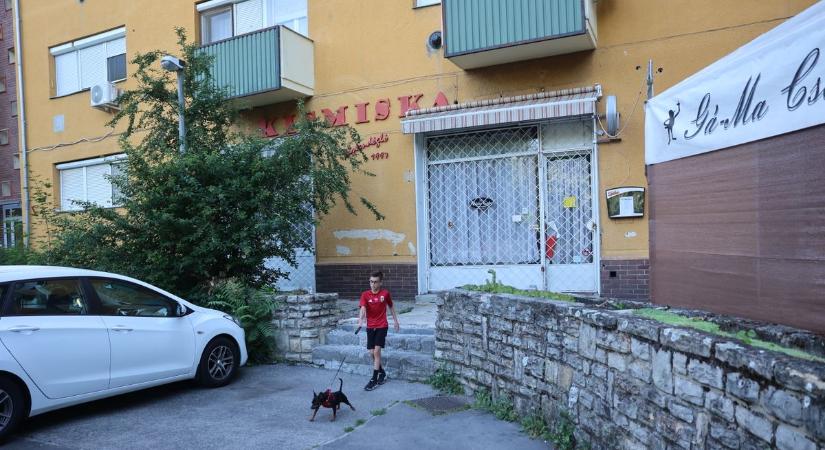 Ez bizony nem kismiska: csaknem hetven éve nyílt meg Uránvárosban a Misi
