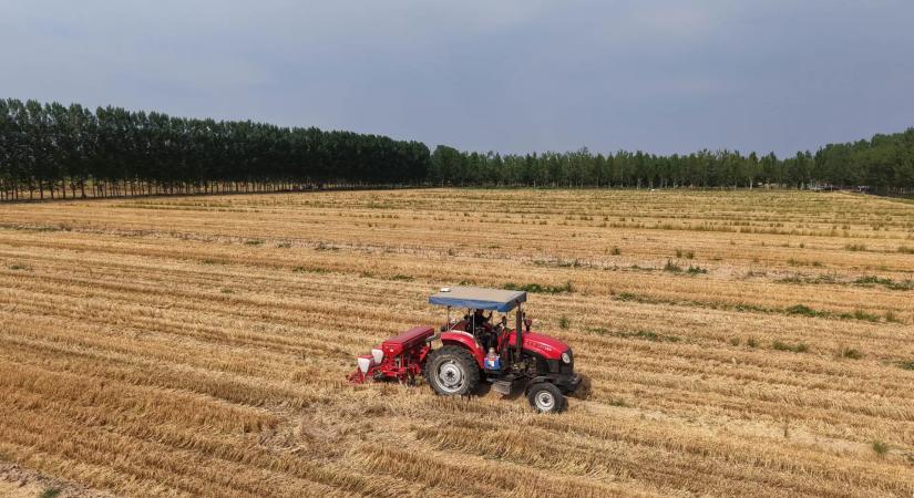 Össztűz alatt a Tisza Párt: Civil szervezetek szerint elárulták a GMO-mentes magyar mezőgazdaságot