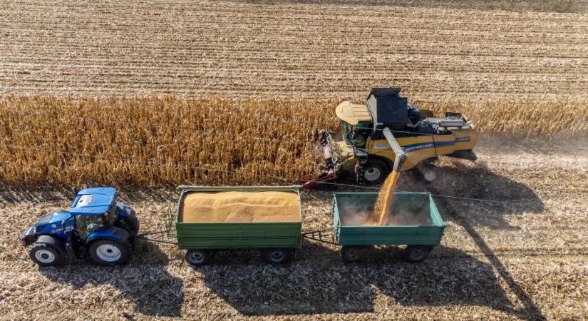 A Tisza a megengedőbb GMO-szabályozást támogatta az EP-ben, a hazai zöld szervezetek választ várnak a kormánytól