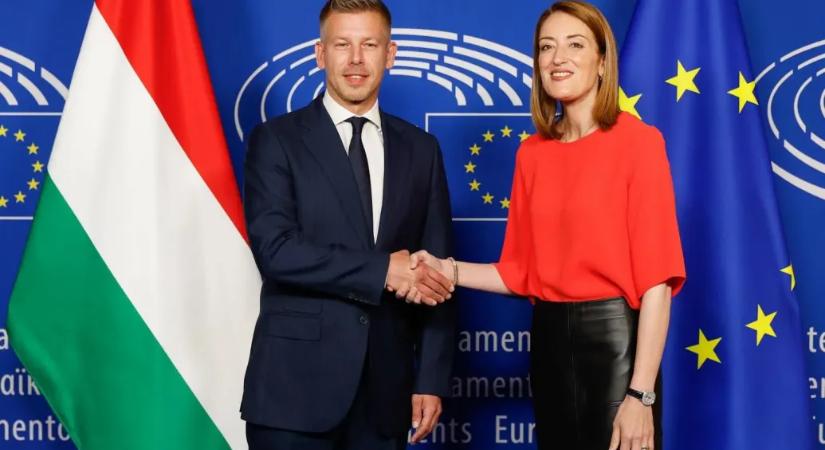 Magyar Péter egyetértett az EP-elnökkel, hogy őszig le kell zárni a 7-es cikkelyes eljárást