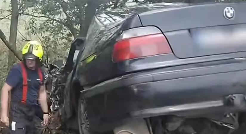 Drámai videón, ahogy megmentették egy fák közé repült autós életét