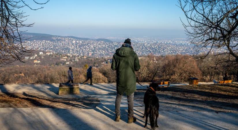 Nyáron lett kérdés, lehet-e télen szánkózni a Normafán