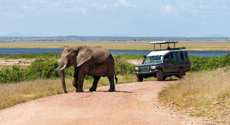 Szafarizás utáni vacsora közben lőttek agyon egy turistát a Kruger Nemzeti Parkban