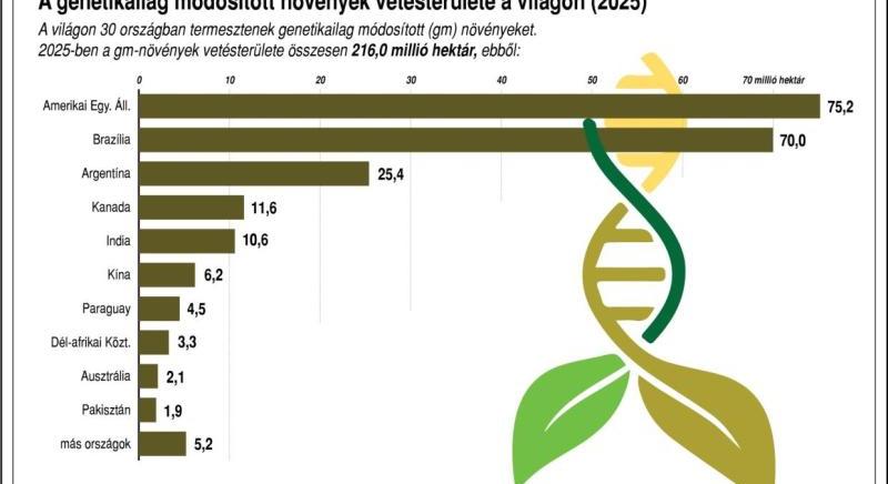A GMO-mentesség fenntartását szorgalmazza több magyarországi civil szervezet