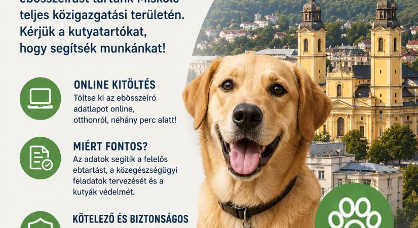 Ebösszeírás Miskolcon, a mulasztók büntetésre számíthatnak