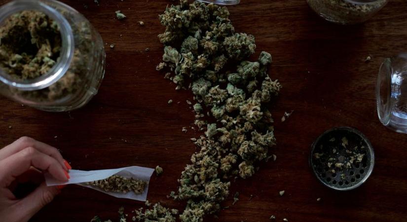 Történelmi fogás: 56 milliárd forint értékű kannabiszszállítmányt foglalt le a brit határőrség