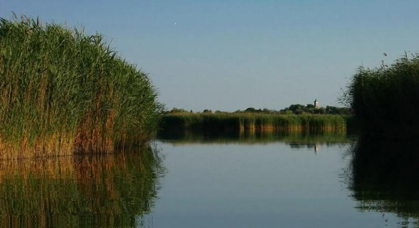 A skandináv bisztrótól a halászcsárdáig: ezek a Velencei-tó legnépszerűbb éttermei