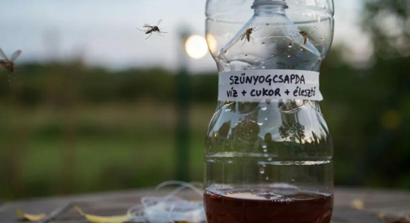Szúnyoginvázió a kertben? Ez a zseniális csali elhiteti a szúnyogokkal, hogy emberre találtak