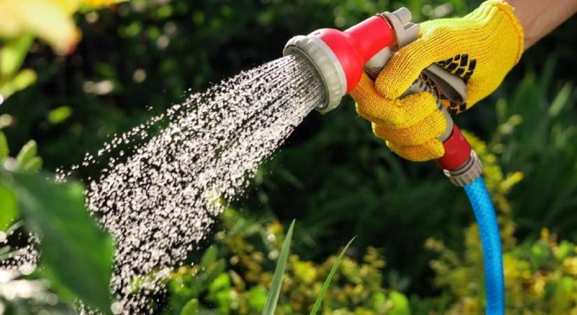 Ez az egyszerű nyári kertészeti trükk rengeteg vizet spórolhat a veteményesben