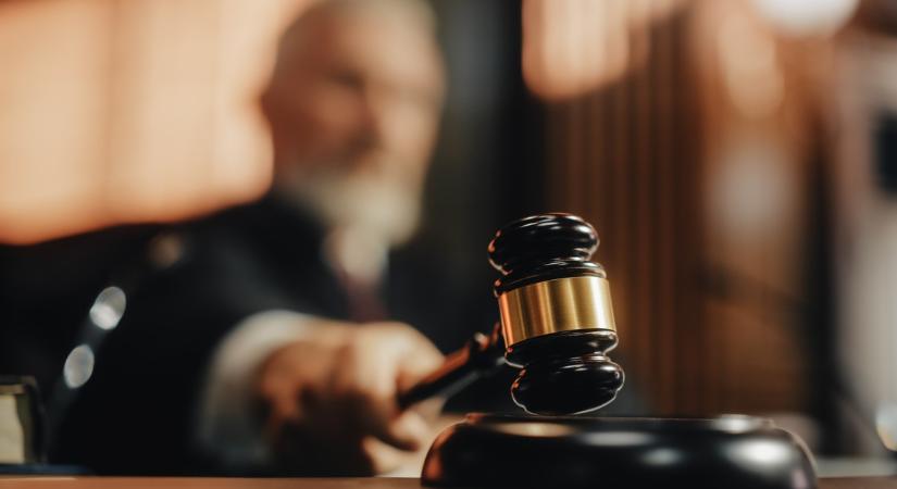 Hat és fél év fegyházra ítélték a világbajnok kenust és korábbi önkormányzati képviselőt