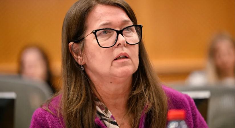 „Nem elég, ha papíron megvan a csalás elleni stratégia” – jelentette ki egy volt fideszes EP-képviselő