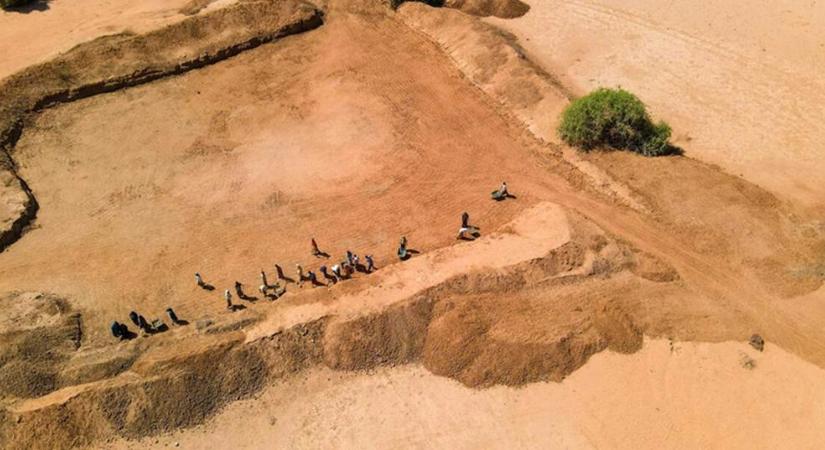 A FAO és a WFP közös felhívása 8,8 millió ember védelmére
