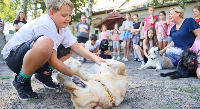 Már hónapokkal ezelőtt beteltek a legnépszerűbb nyári táborok – mutatjuk az árakat